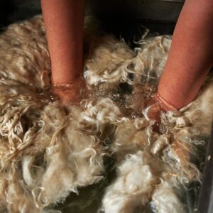 Wolle waschen